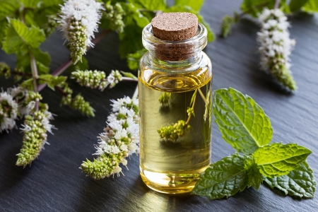 peppermint-scent-marketing-fragrence